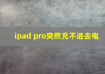 ipad pro突然充不进去电